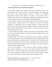 Įvykio vietos apžiūra pasienyje 3 puslapis