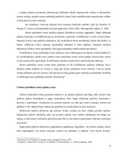 Įvykio vietos apžiūra pasienyje 5 puslapis