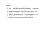 Įvykio vietos apžiūra pasienyje 10 puslapis