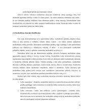 Nusikaltimo situacijos samprata. Kursinis darbas 16 puslapis