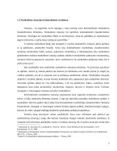 Nusikaltimo situacijos samprata. Kursinis darbas 5 puslapis