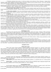 Duomenų apdorojimas ir analizė 4 puslapis