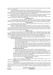 Informacijos rinkimas 2 puslapis