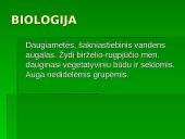 Lietuvos Raudonoji Knyga. Augalai. Gaubtasėkliai 11 puslapis