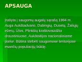 Lietuvos Raudonoji Knyga. Augalai. Gaubtasėkliai 13 puslapis