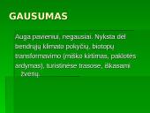 Lietuvos Raudonoji Knyga. Augalai. Gaubtasėkliai 19 puslapis