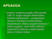 Lietuvos Raudonoji Knyga. Augalai. Gaubtasėkliai 20 puslapis