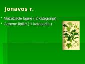 Lietuvos Raudonoji Knyga. Augalai. Gaubtasėkliai 4 puslapis