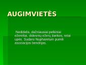 Lietuvos Raudonoji Knyga. Augalai. Gaubtasėkliai 10 puslapis