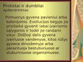 Pirmuonys ir dumbliai 12 puslapis