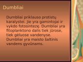 Pirmuonys ir dumbliai 9 puslapis