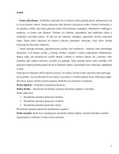 Šiuolaikinės pamokos planavimas 2 puslapis