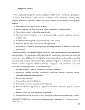 Šiuolaikinės pamokos planavimas 11 puslapis