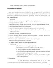 Šiuolaikinės pamokos planavimas 13 puslapis