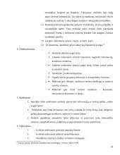 Šiuolaikinės pamokos planavimas 14 puslapis