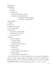 Šiuolaikinės pamokos planavimas 16 puslapis