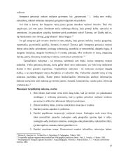 Šiuolaikinės pamokos planavimas 17 puslapis