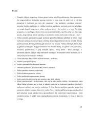 Šiuolaikinės pamokos planavimas 19 puslapis