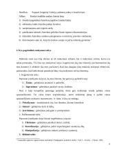 Šiuolaikinės pamokos planavimas 6 puslapis