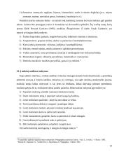 Šiuolaikinės pamokos planavimas 10 puslapis