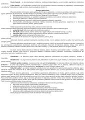 Konspektai - mokslinis tiriamasis darbas 13 puslapis