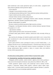 Ketvirtosios klasės moksleivių gebėjimas naudotis brėžiniais 11 puslapis