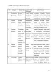 Ketvirtosios klasės moksleivių gebėjimas naudotis brėžiniais 16 puslapis