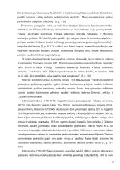 Ketvirtosios klasės moksleivių gebėjimas naudotis brėžiniais 20 puslapis