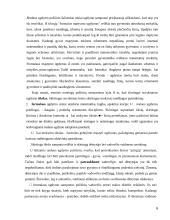 Mokslo ir studijų koncentracija universitetuose 6 puslapis