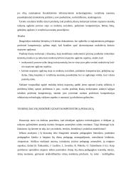 Pradinių klasių mokytojų profe­sinės (socialinės) kompetencijos 13 puslapis