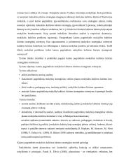 Pradinių klasių mokytojų profe­sinės (socialinės) kompetencijos 19 puslapis