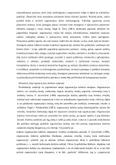 Pradinių klasių mokytojų profe­sinės (socialinės) kompetencijos 20 puslapis