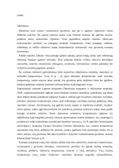 Pradinių klasių mokytojų profe­sinės (socialinės) kompetencijos 4 puslapis