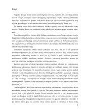 Psichosocialinės problemos pradinėje mokykloje 2 puslapis