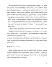 Psichosocialinės problemos pradinėje mokykloje 12 puslapis