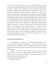 Psichosocialinės problemos pradinėje mokykloje 17 puslapis