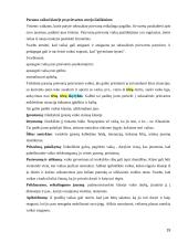 Psichosocialinės problemos pradinėje mokykloje 19 puslapis