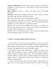 Psichosocialinės problemos pradinėje mokykloje 20 puslapis