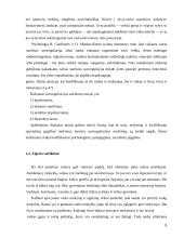 Psichosocialinės problemos pradinėje mokykloje 5 puslapis