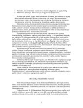 Lytis - kaip socialinis konstruktas 3 puslapis