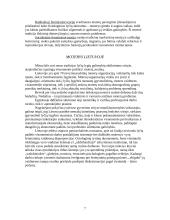 Lytis - kaip socialinis konstruktas 5 puslapis