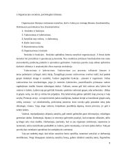 Organizacijos kultūros ir elgsenos modelių įtaka organizacijos klimatui 3 puslapis