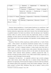 Socialinio pedagogo vadovo vaidmuo didinant socialinio pedagogo darbo efektyvumą 17 puslapis