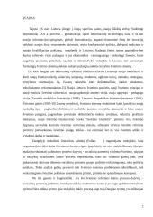 Vaikų socializacijos centro pertvarkymas 2 puslapis