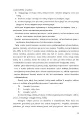 Vaikų socializacijos centro pertvarkymas 16 puslapis