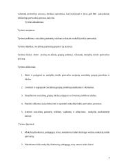 Vaikų socializacijos centro pertvarkymas 4 puslapis