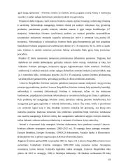 Suaugusiųjų mokymasis visą gyvenimą 13 puslapis