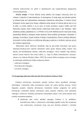 Suaugusiųjų mokymasis visą gyvenimą 19 puslapis