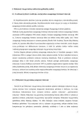 Suaugusiųjų mokymasis visą gyvenimą 7 puslapis