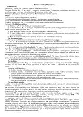 Politikos mokslo objektas konspektas